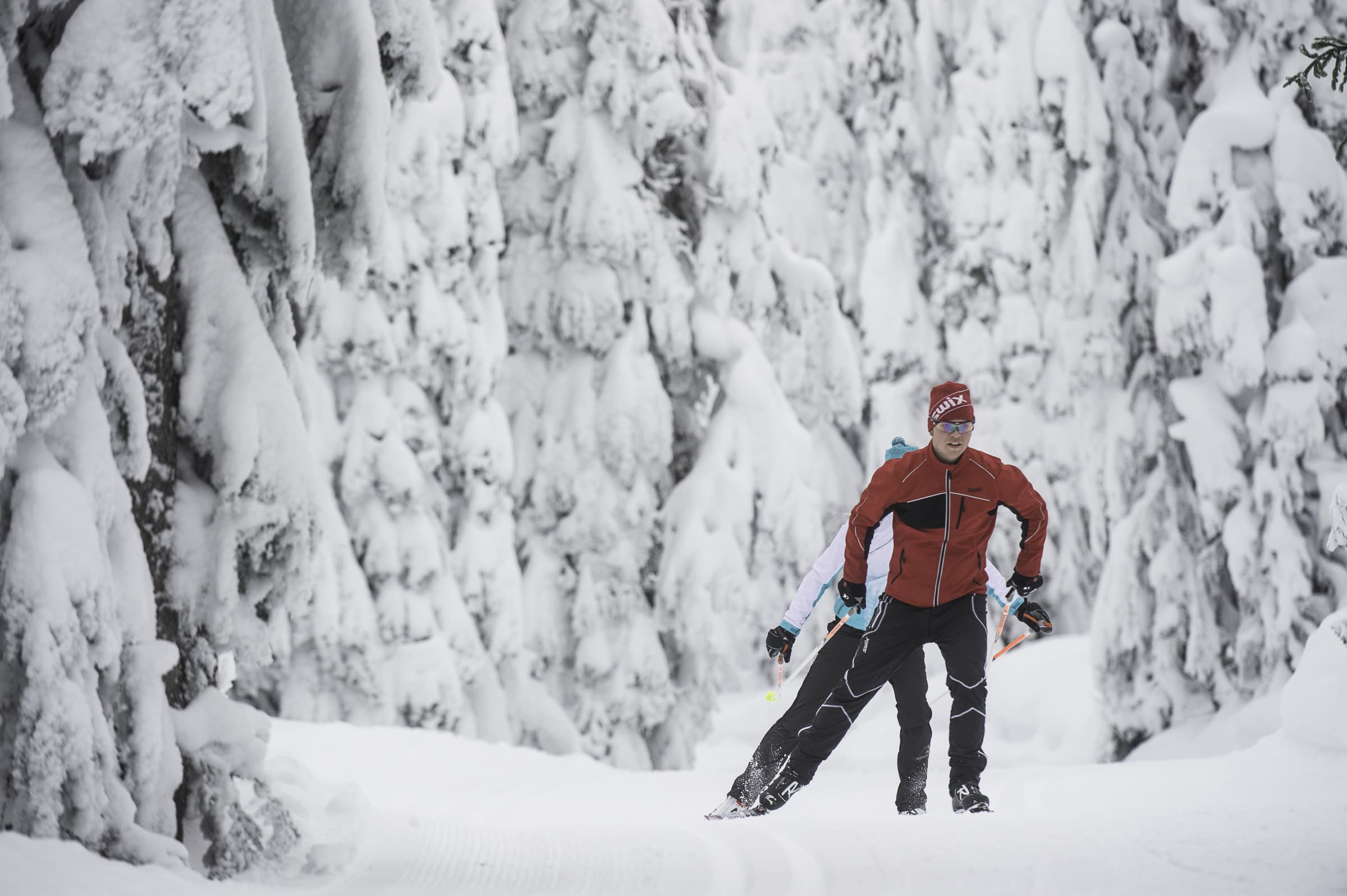 Nordic skier on Sovereign Lake trails in early season