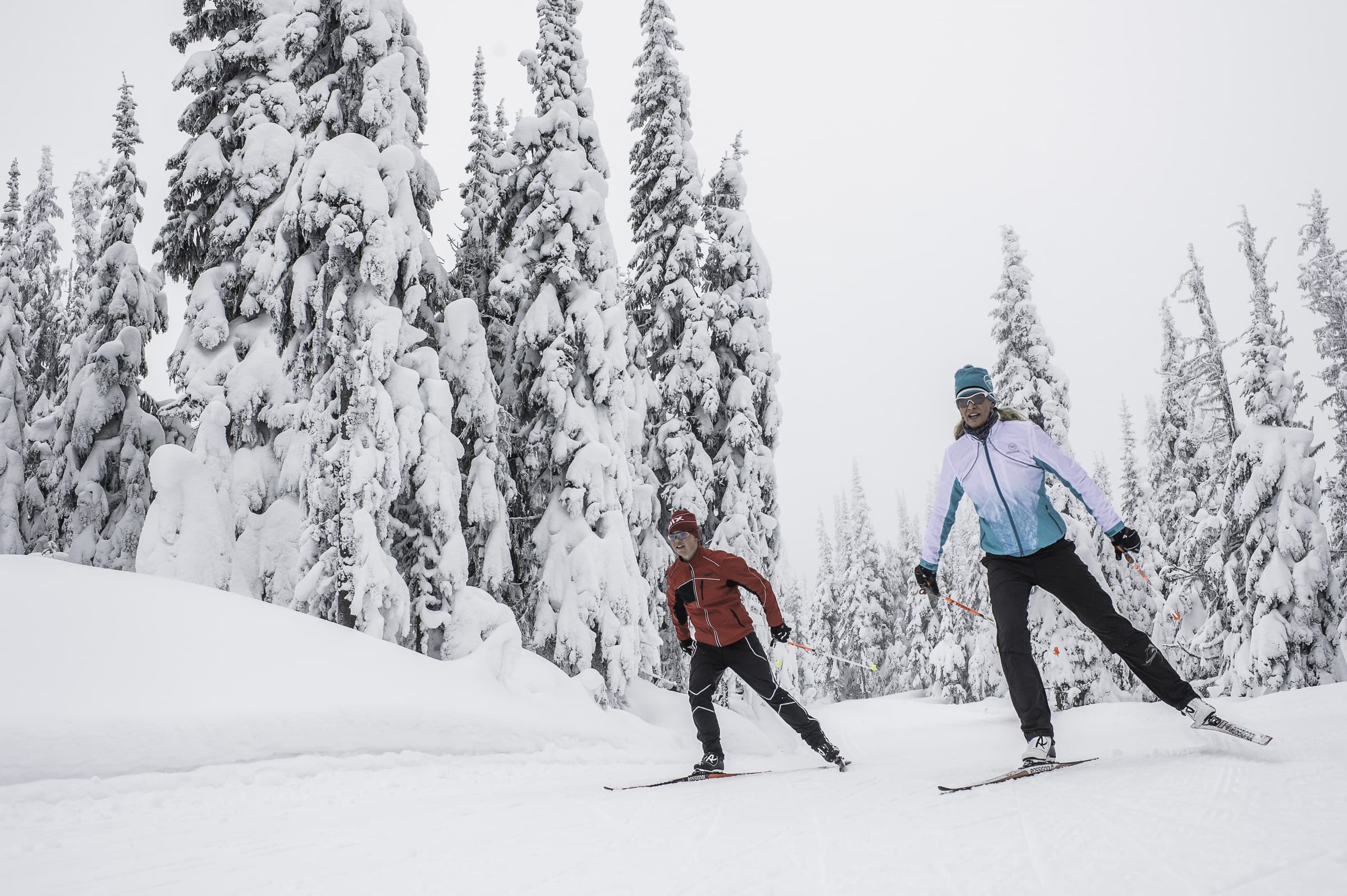 SuperCamps skiers on Sovereign Lake trails